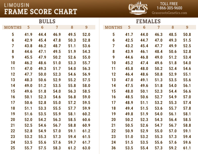 Frame Score Chart